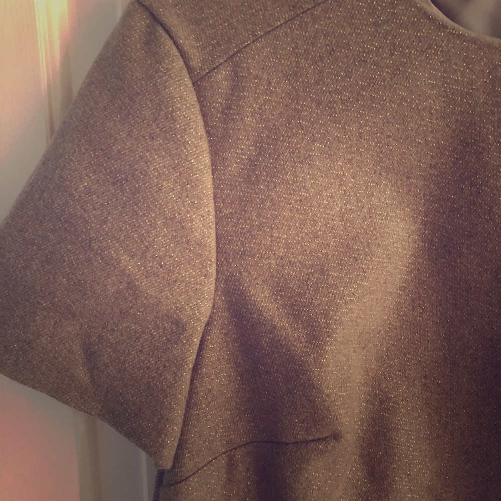 Brand new banana republic shift dress.